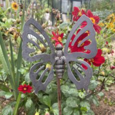 5061098722040 1 Decorative Steel Garden Stake Ornament Butterfly 2.jpg